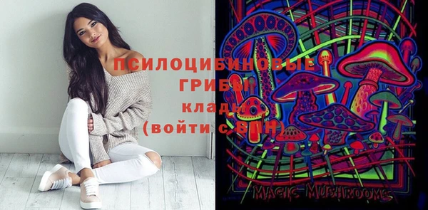 бошки Алзамай